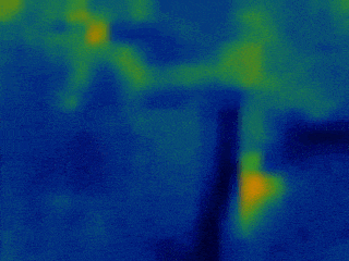 animation of thermal images