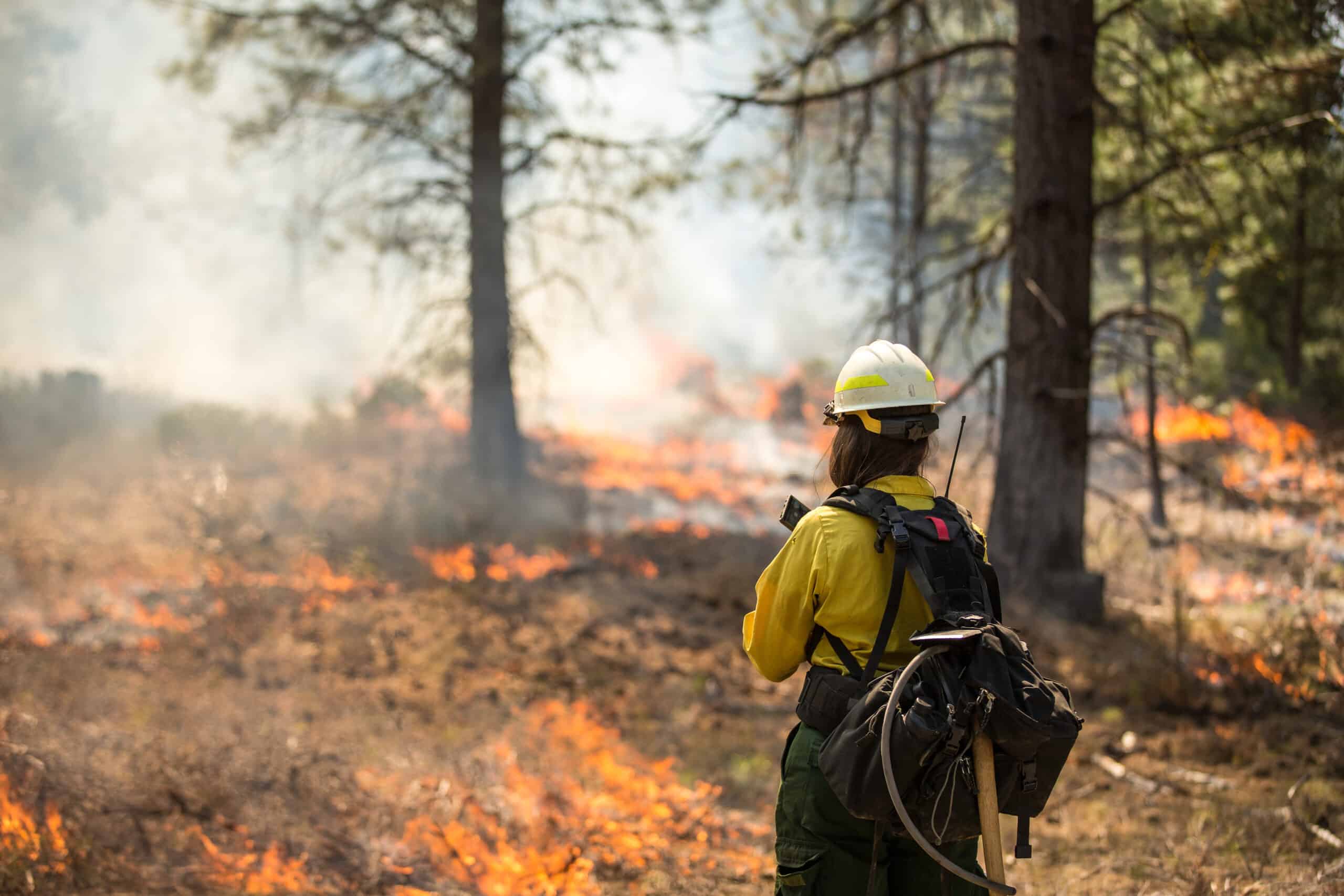 IoT is helping communities mitigate the effects of wildfires and other natural disasters